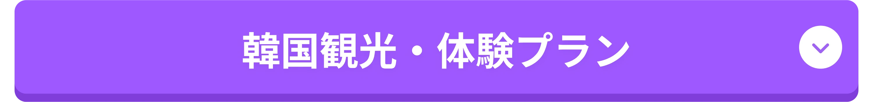 투어/체험
